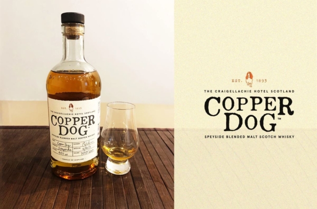 Cooper-Dog-Banner